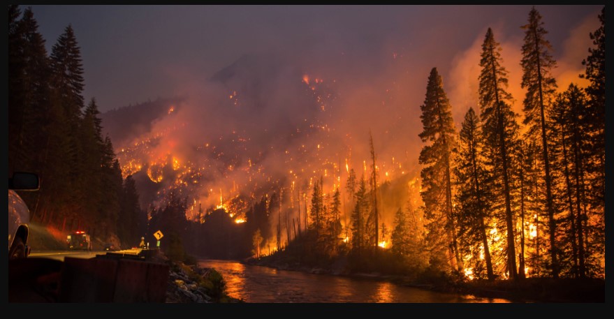 bluefire wilderness lawsuit