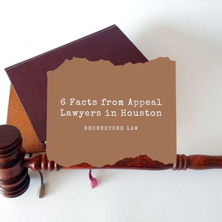 Understanding the Procedural Proceedings in Appeal Courts